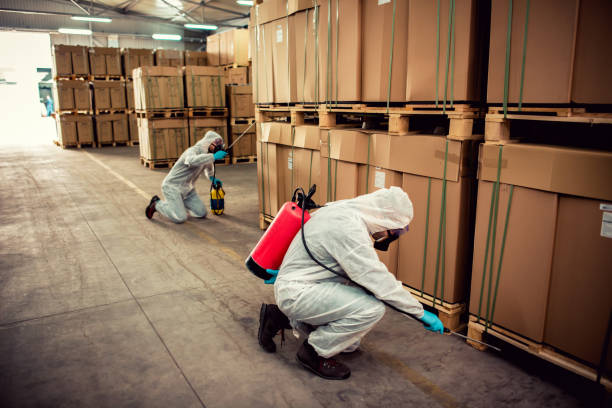 Best Pest Prevention Services  in Earlvle, IL
