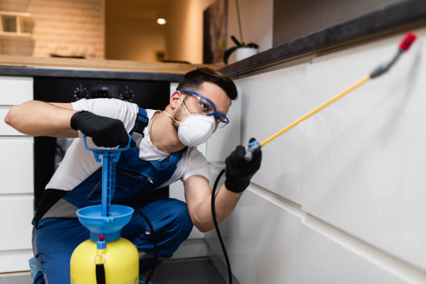  Earlvle, IL Pest Control Pros