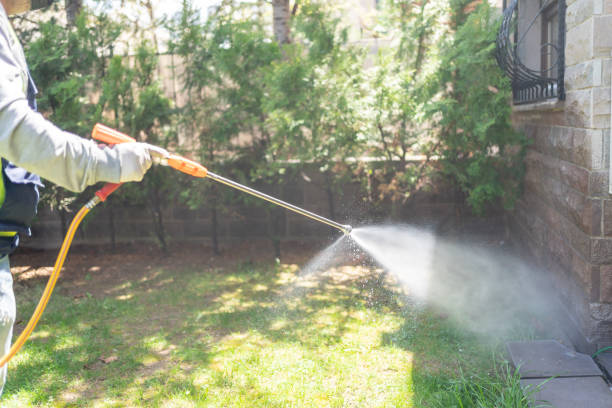 Professional Pest Control in Earlville, IL