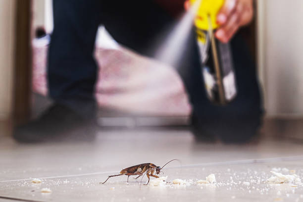 Best Wildlife Control Services  in Earlvle, IL