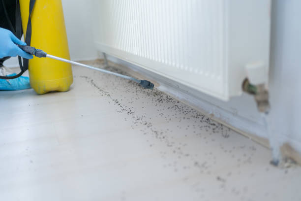 Best Pest Inspection Near Me  in Earlvle, IL