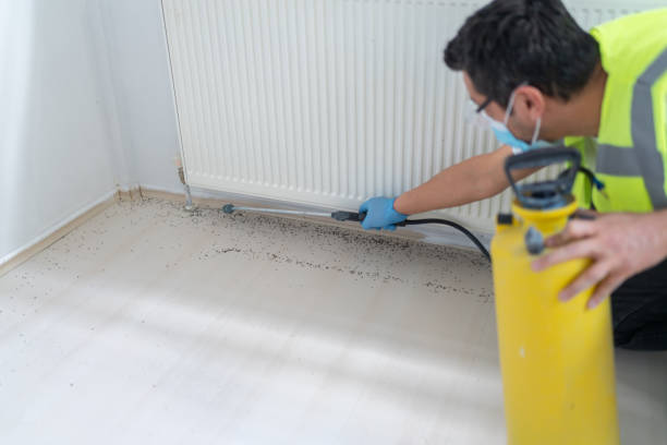 Best Cockroach Control Services  in Earlvle, IL